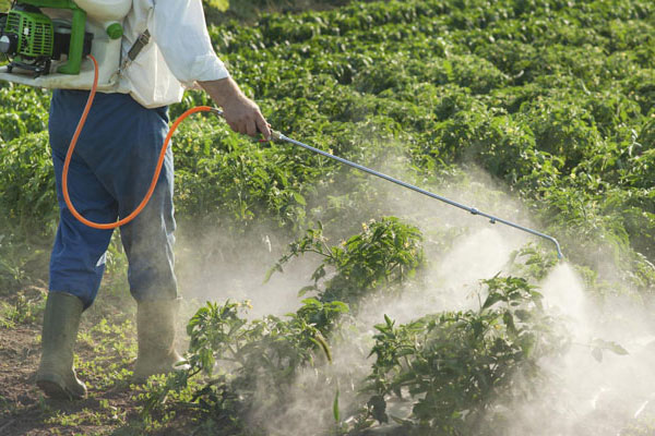 choosing-herbicide-for-your-garden